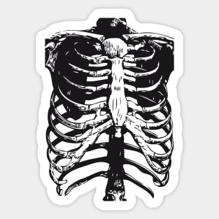 Skeleton Ribs | Skeletons | Anatomy | Bones | Rib Cage | Sticker